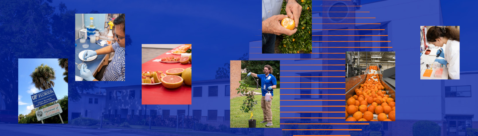 About CREC Banner