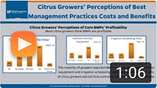 Citrus Growers’ Perceptions of Best Management Practices Costs and Benefits