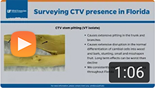 Surveying CTV Presence in Florida