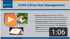 CUPS Citrus Pest Management