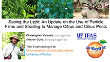 Seeing the Light: An Update on the Use of Particle Films and Shading to Manage Citrus and Citrus Pests