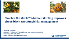 Shorten the skirts? Whether skirting improves citrus black spot fungicidal management
