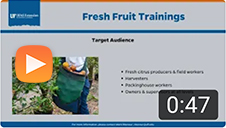 Fresh Fruit Trainings