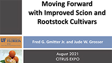 Moving Forward with Improved Scion and Rootstock Cultivars