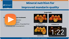 Mineral nutrition for improved mandarin quality