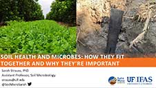 SOIL HEALTH AND MICROBES: HOW THEY FIT TOGETHER AND WHY THEY’RE IMPORTANT