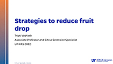Strategies to reduce fruit drop