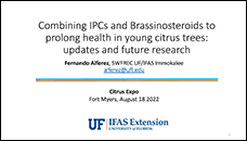 Combining IPCs and Brassinosteroidsto prolong health in young citrus trees: updates and future research