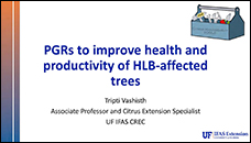 PGRs to improve health and productivity of HLB-affected trees