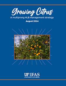 growing citrus