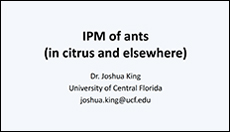 IPM of Ants