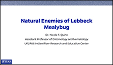 Natural Enemies of Lebbeck Mealybug