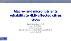 Macro- and micronutrients  rehabilitate HLB-affected citrus  trees