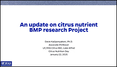 Update on BMP Research Project