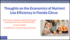 Thoughts on the Economics of Nutrient Use Efficiency in Florida Citrus