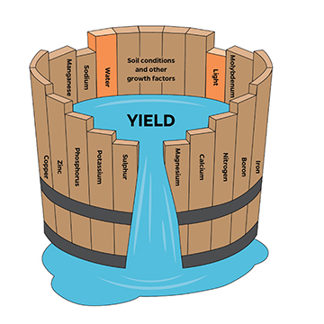 Yield chart