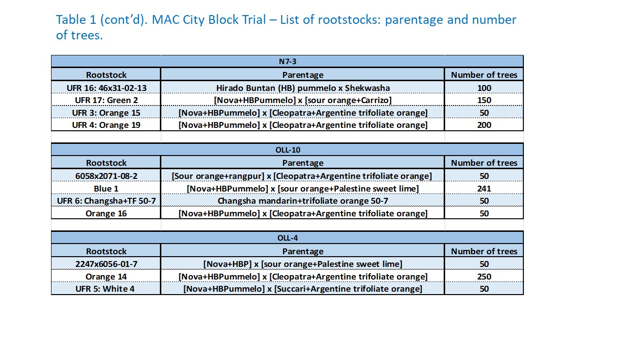 MAC City Block Trial – List of rootstocks: parentage and number of trees.