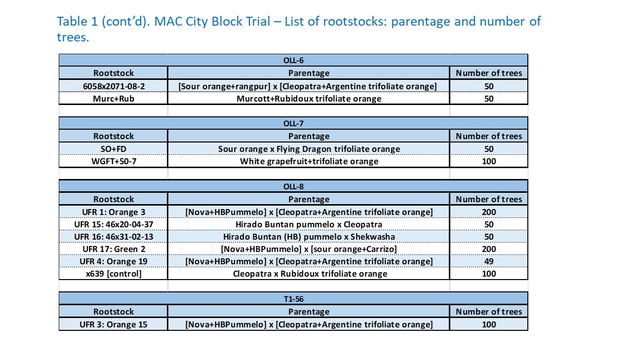 MAC City Block Trial – List of rootstocks: parentage and number of trees.