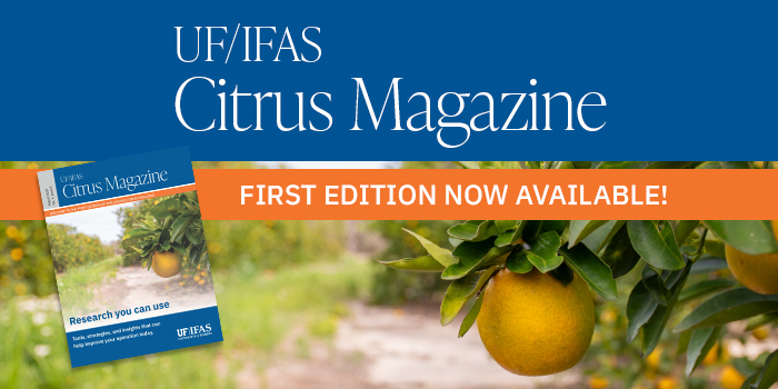 magazine website