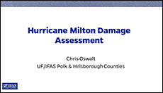 Hurricane Milton  Damage Assessment