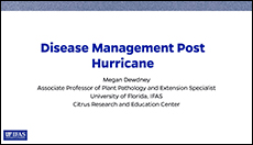 Disease Management Post Hurricane