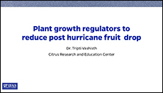 Plant growth regulators to reduce post hurricane fruit  drop