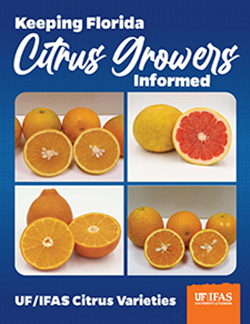 Citrus Varieties posters
