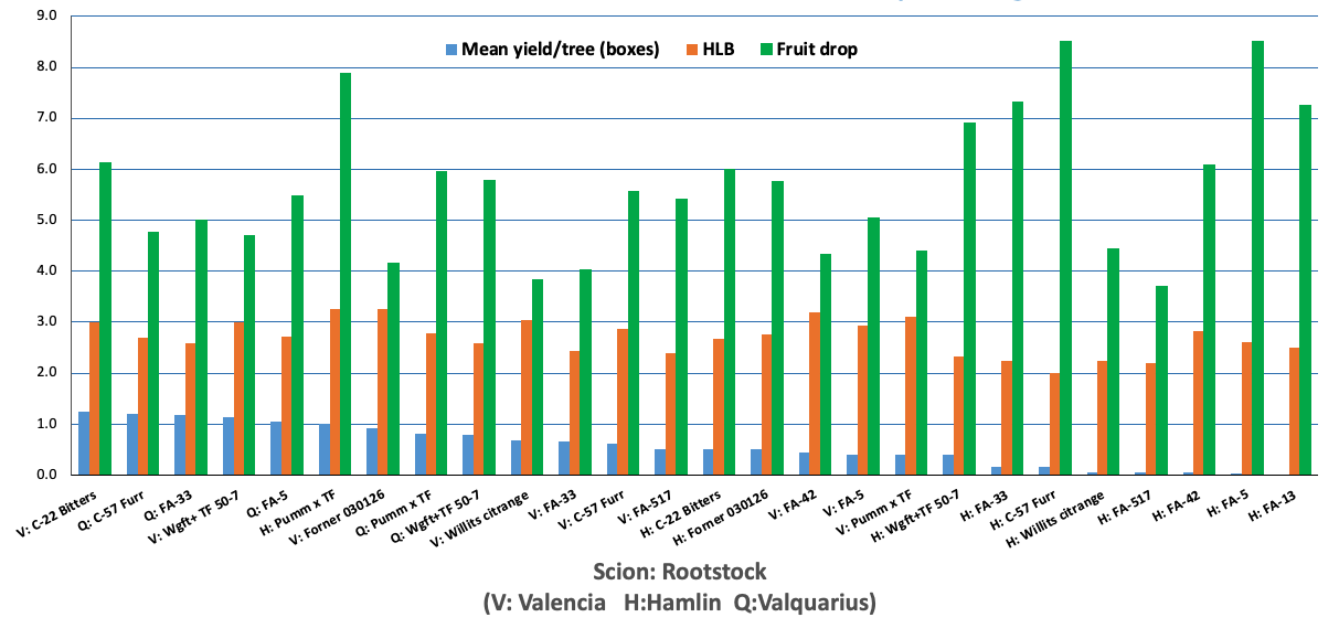 HLB fruit drop rating