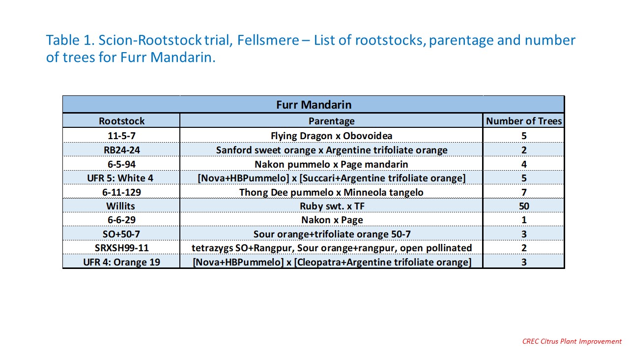 Table 1. Scion-Rootstock trial, Fellsmere – List of rootstocks, parentage and number of trees for Furr Mandarin