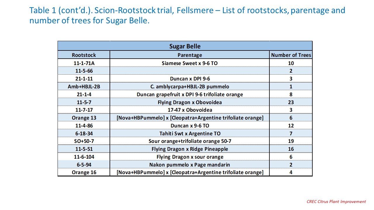Table 1. Scion-Rootstock trial, Fellsmere – List of rootstocks, parentage and number of trees for Furr Mandarin