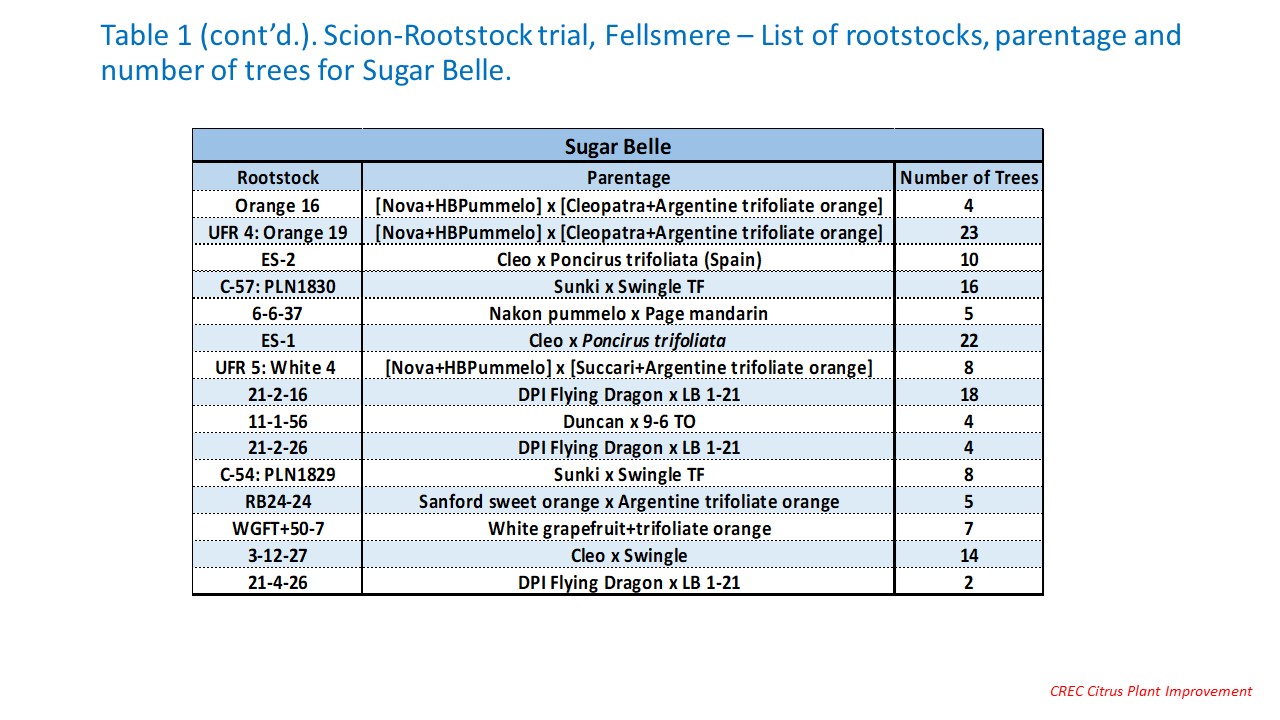 Table 1. Scion-Rootstock trial, Fellsmere – List of rootstocks, parentage and number of trees for Furr Mandarin