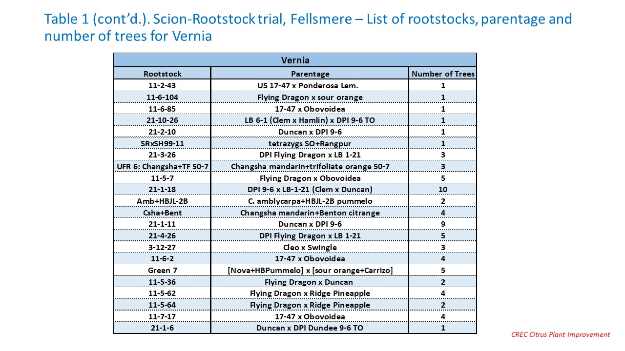 Table 1 (cont’d.). Scion-Rootstock trial, Fellsmere – List of rootstocks, parentage and number of trees for Vernia