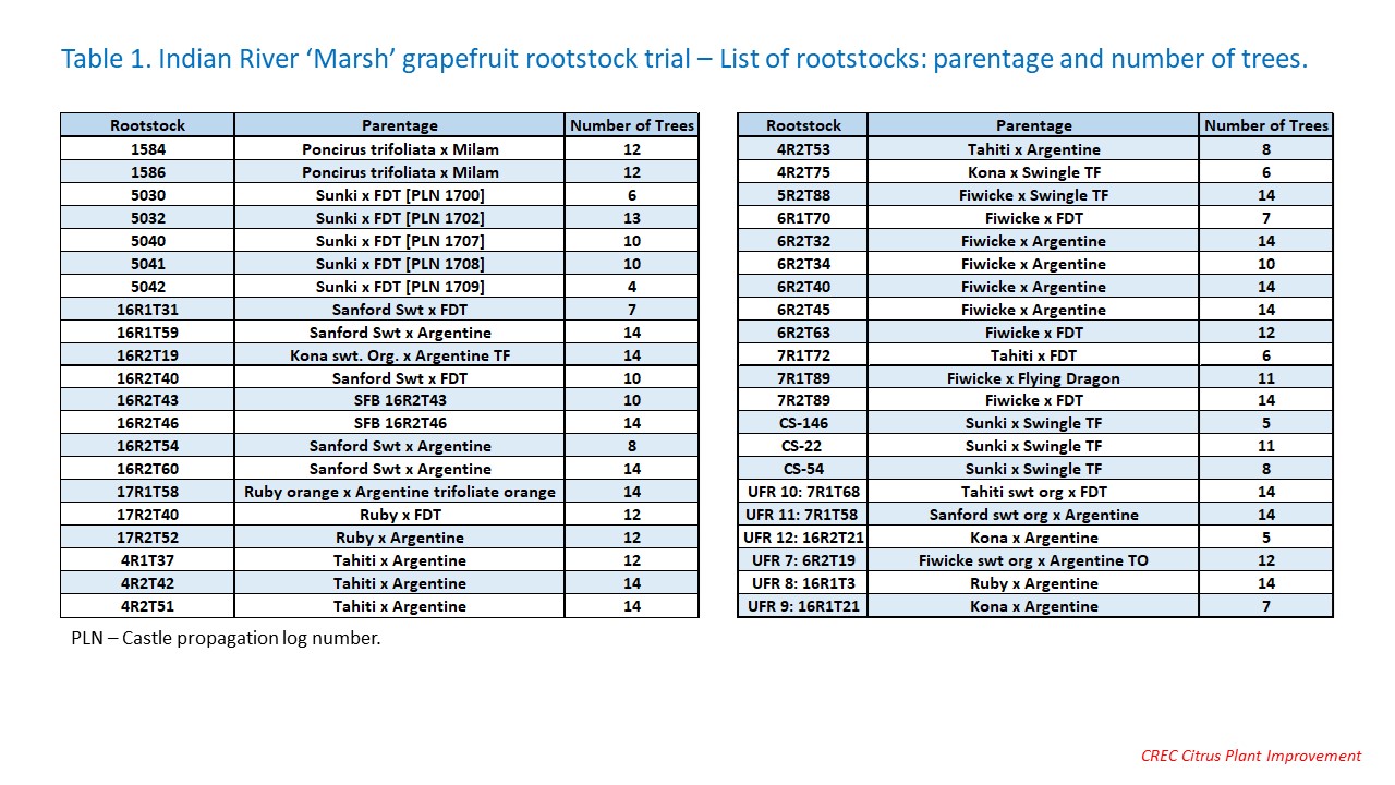 trial3 table 1