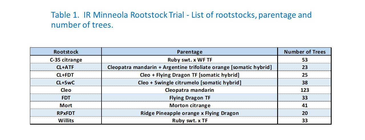 Table 1.  IR Minneola Rootstock Trial - List of rootstocks, parentage and number of trees.