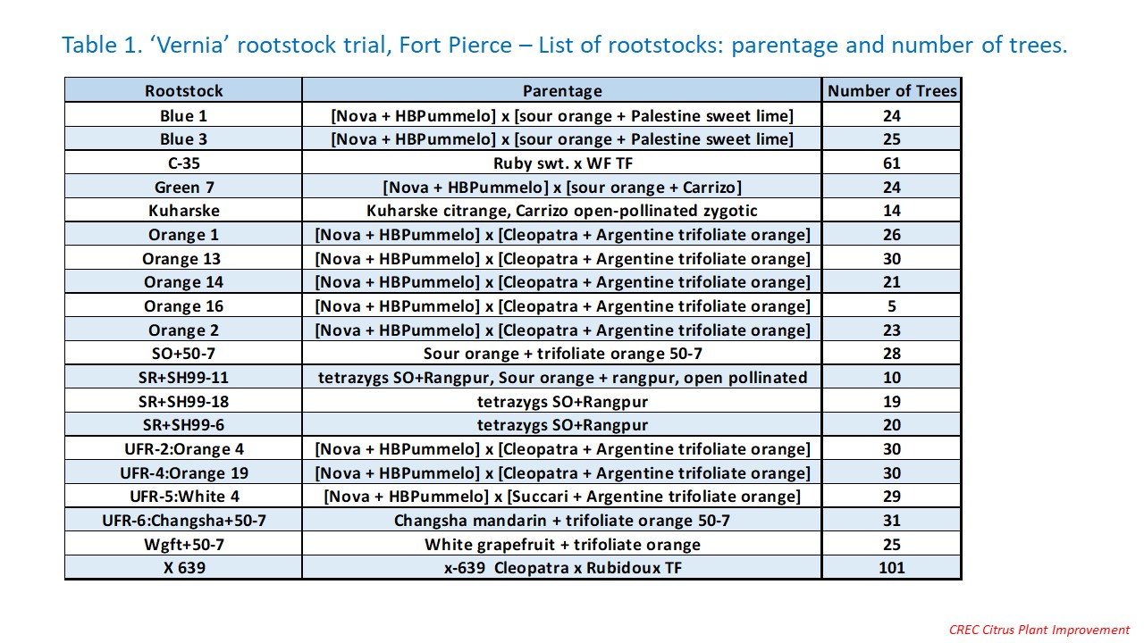Table 1. ‘Vernia’ rootstock trial, Fort Pierce – List of rootstocks: parentage and number of trees.