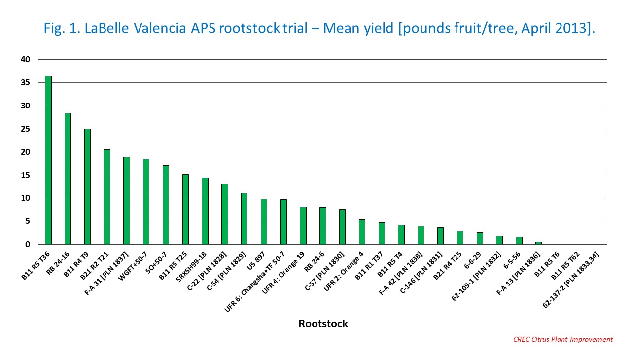 Fig. 1. LaBelle Valencia APS rootstock trial – Mean yield [pounds fruit/tree, April 2013].