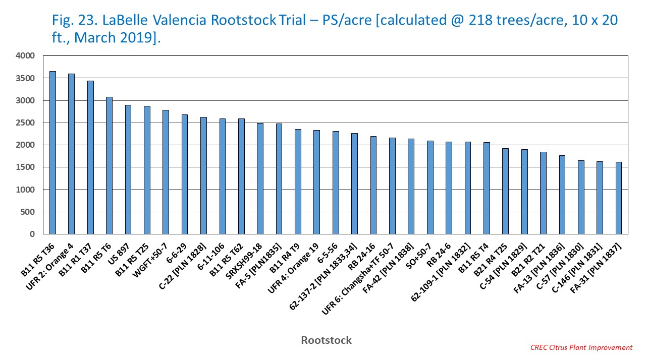 Fig. 23. LaBelle Valencia Rootstock Trial – PS/acre [calculated @ 218 trees/acre, 10 x 20 ft., March 2019].