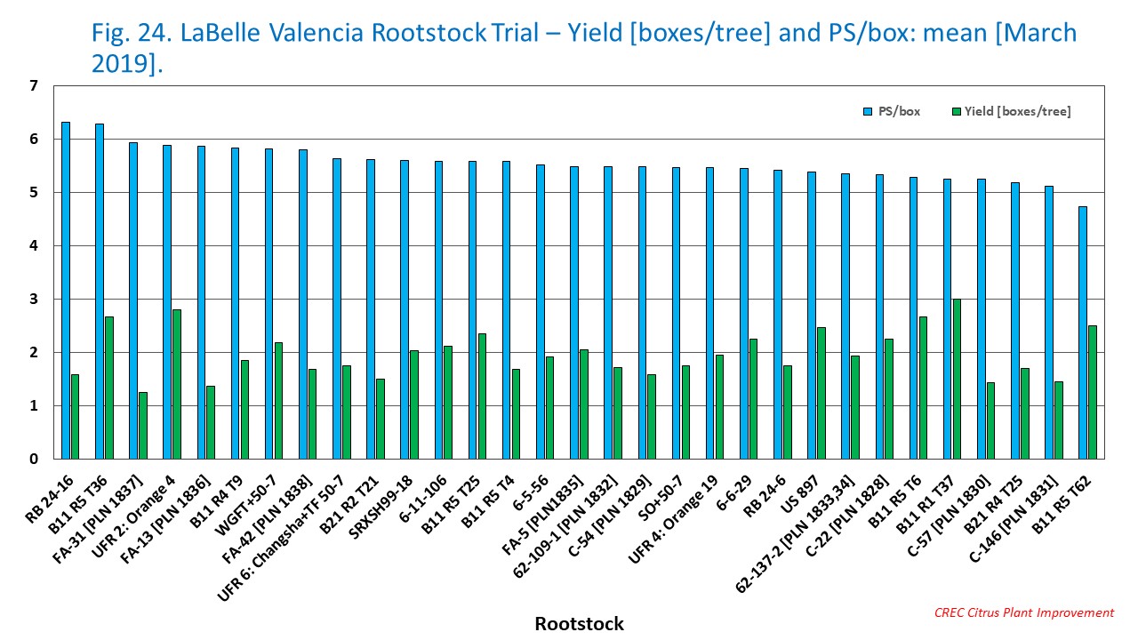 Fig. 24. LaBelle Valencia Rootstock Trial – Yield [boxes/tree] and PS/box: mean [March 2019].