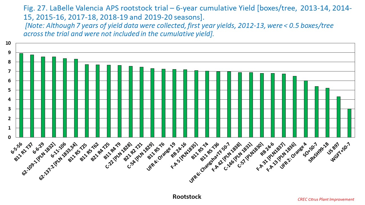 Fig. 27. LaBelle Valencia APS rootstock trial – 6-year cumulative Yield