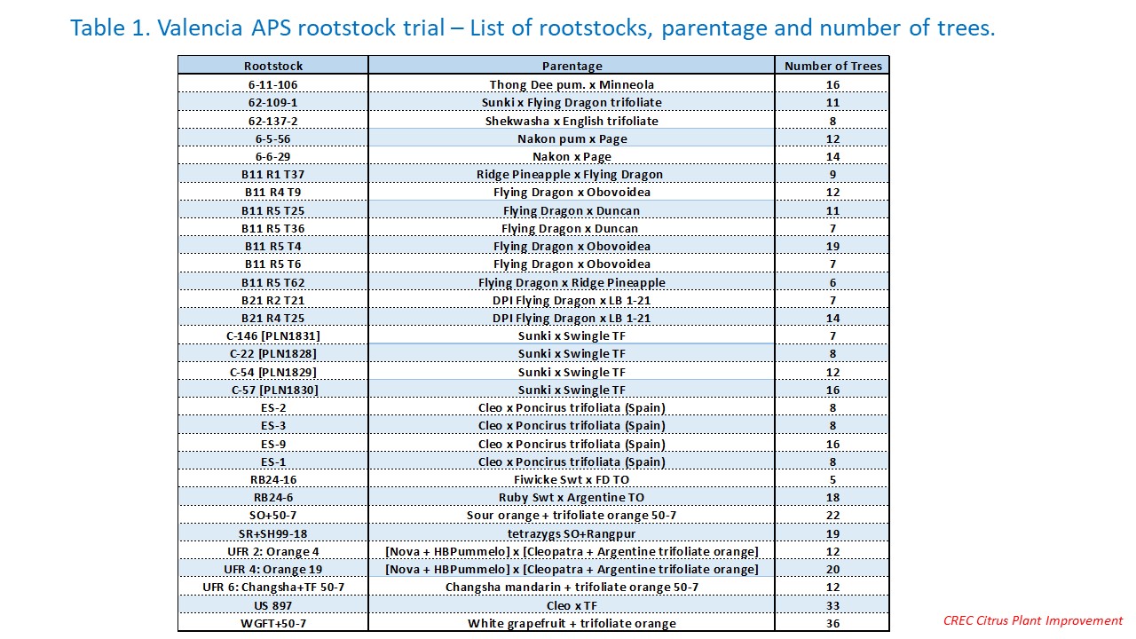 Table 1. Valencia APS Rootstock Trial, LaBelle - List of Rootstocks and parentage