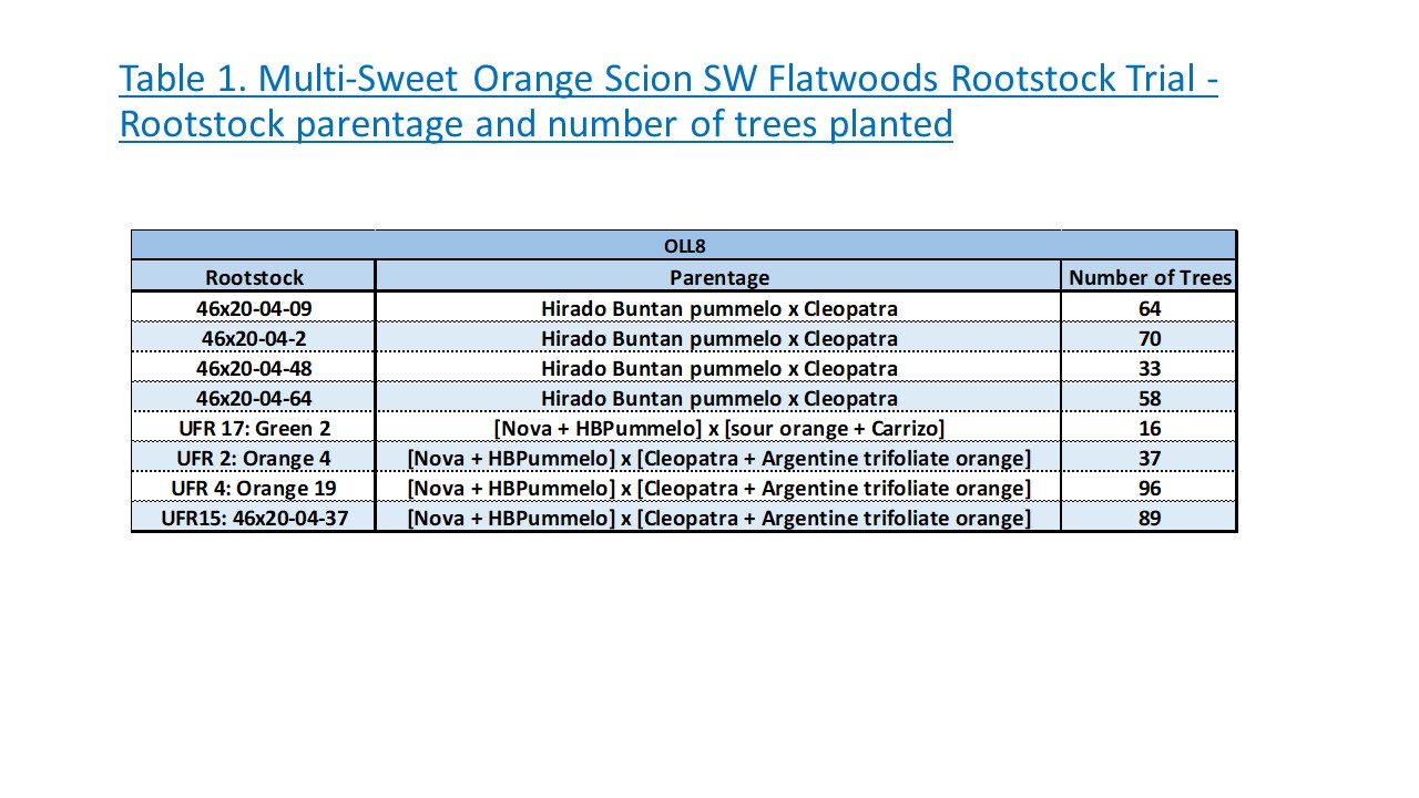 Multi-Sweet Orange Scion SW Flatwoods Rootstock Trial 