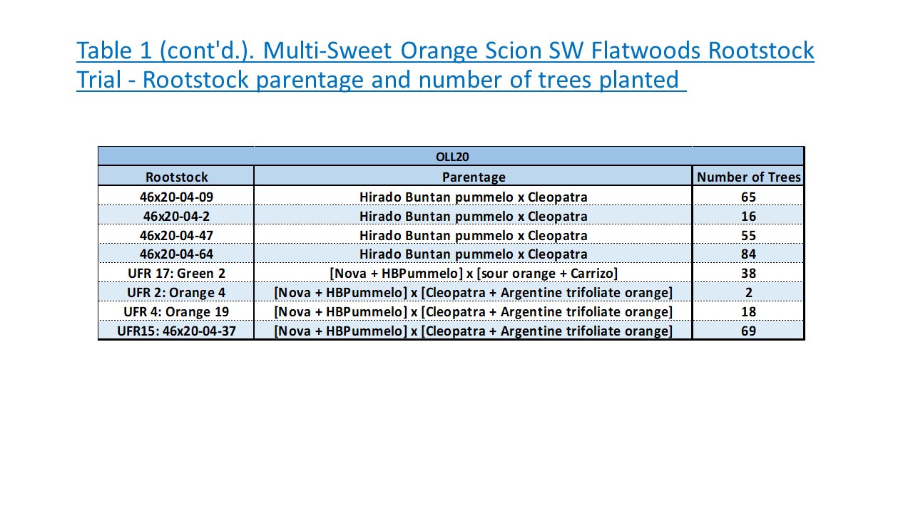 Multi-Sweet Orange Scion SW Flatwoods Rootstock Trial 