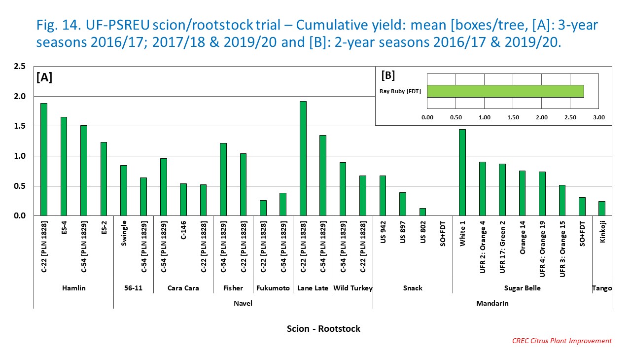 Fig. 14. UF-PSREU scion/rootstock trial – Cumulative yield: mean [boxes/tree, [A]: 3-year seasons 2016/17; 2017/18 & 2019/20 and [B]: 2-year seasons 2016/17 & 2019/20.