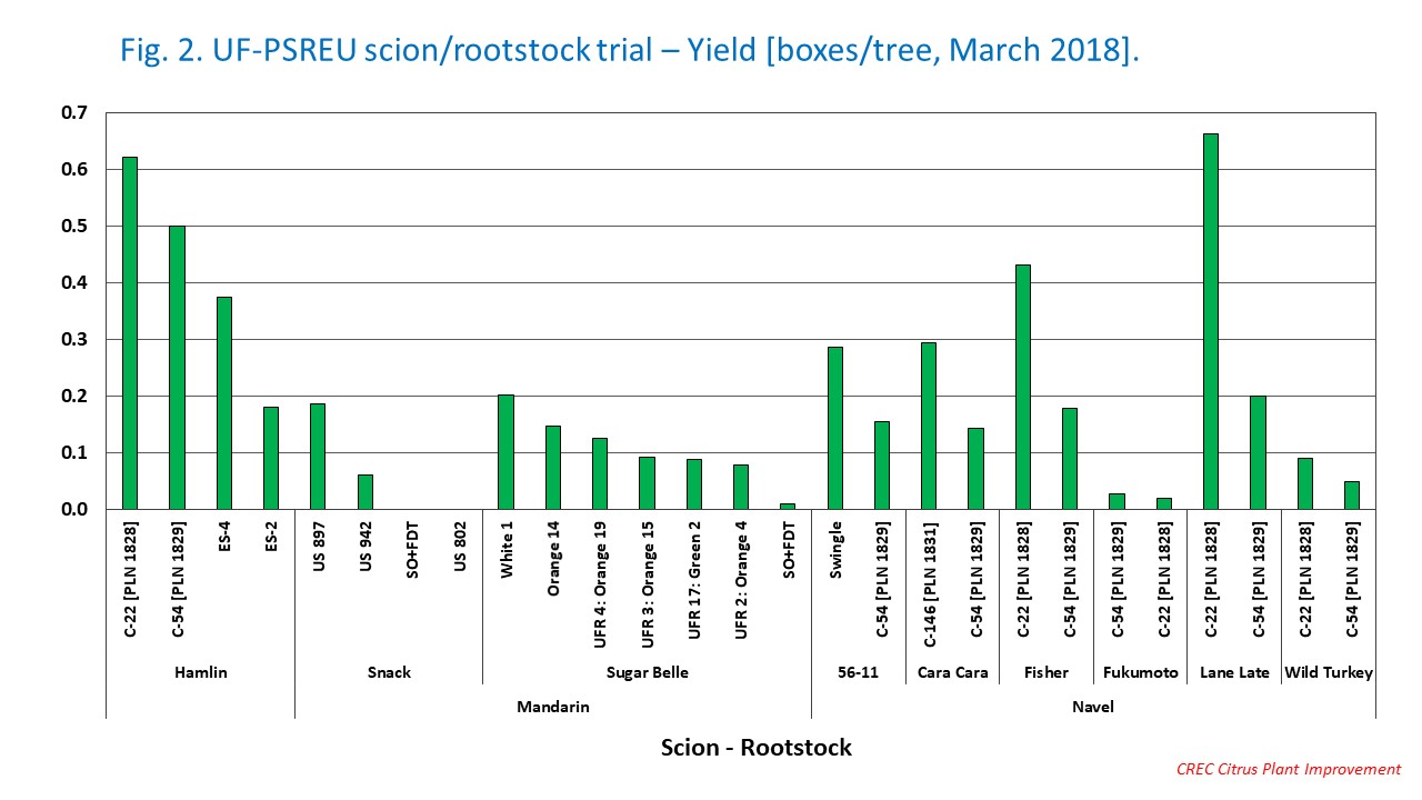 Fig. 2. UF-PSREU scion/rootstock trial – Yield [boxes/tree, March 2018].