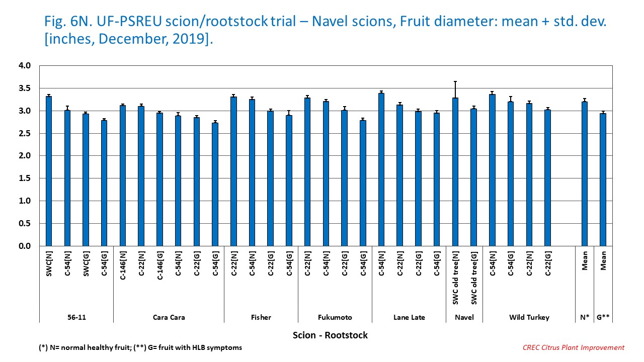 Fig. 6N. UF-PSREU scion/rootstock trial – Navel scions, Fruit diameter: mean + std. dev. [inches, December, 2019].