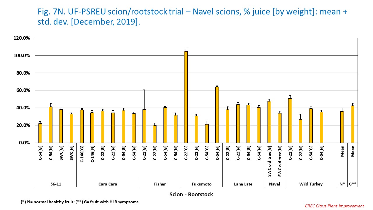 Fig. 7N. UF-PSREU scion/rootstock trial – Navel scions, % juice [by weight]: mean + std. dev. [December, 2019].