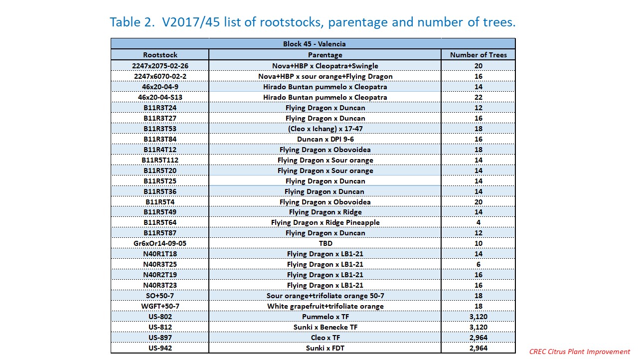  trial27_table2