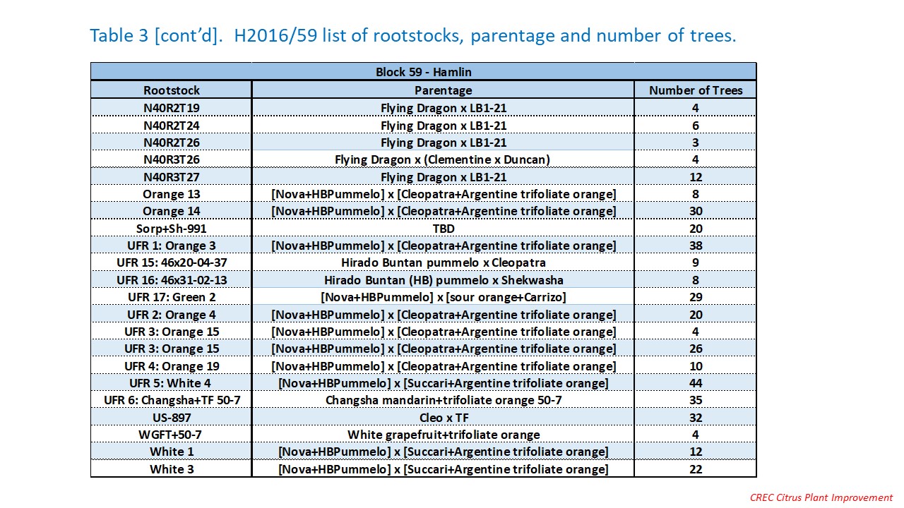 rootstocks for valencia - UF/IFAS Citrus Research - University of ...