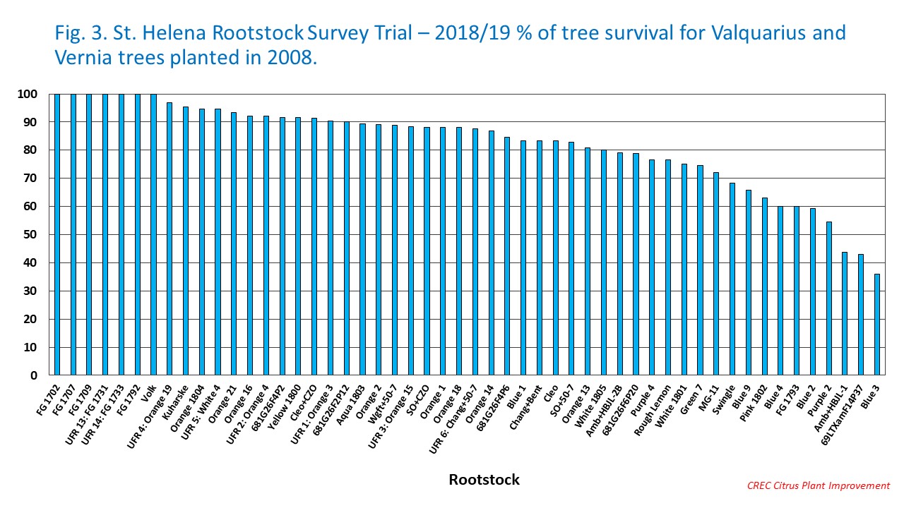 Fig. 3. St. Helena Rootstock Survey Trial – 2018/19 % of tree survival for Valquarius and Vernia trees planted in 2008.