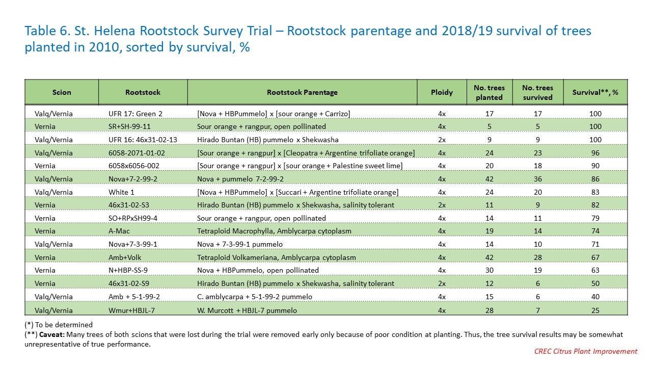 Table 6. St. Helena Rootstock Survey Trial – Rootstock parentage and 2018/19 survival of trees planted in 2010, sorted by survival, %